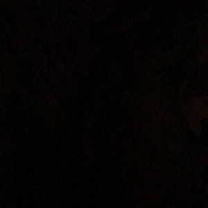 Meet your Posher, Ava